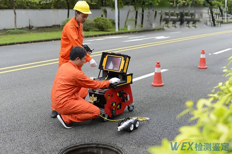 ���۹������